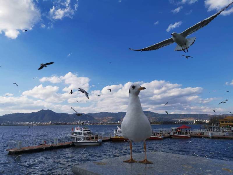  升学焦虑的破局点：优质高等教育扩容方案解析 教育招生