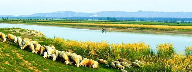  技术视角下的嘉应观与人民胜利渠：一份详尽的黄河水利文化工程档案 文化旅游