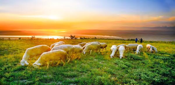  技术视角下的嘉应观与人民胜利渠：一份详尽的黄河水利文化工程档案 文化旅游