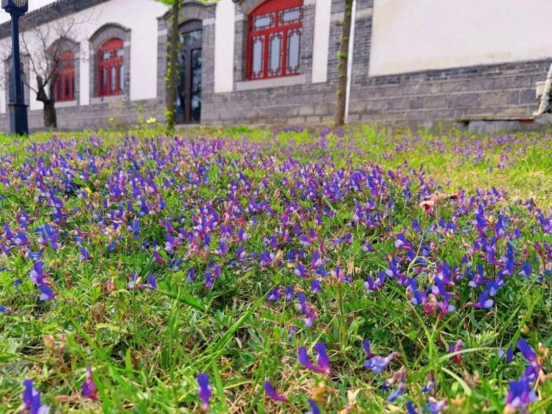  从政策到落地：春假制度重构家庭时间管理底层逻辑 教育招生