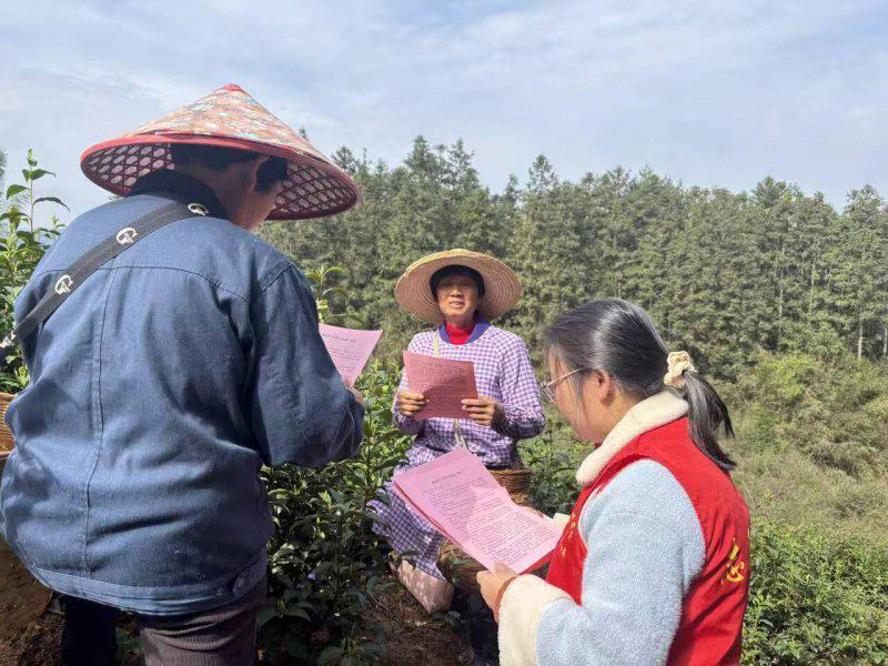 【技术视角】春茶安全生产的底层逻辑与实践方法论 新闻