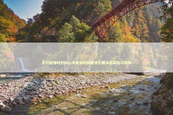 支付犹豫时的内心冲突如何利用优化解决思路加以调和