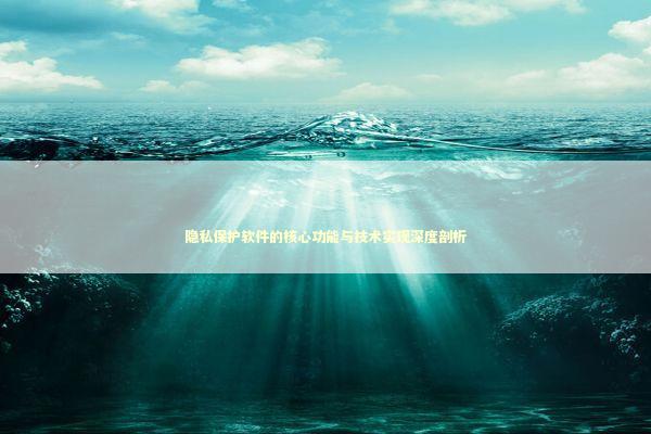 隐私保护软件的核心功能与技术实现深度剖析 IT技术