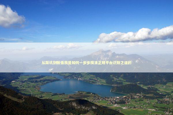 从踩坑到顿悟我是如何一步步摸清正规平台识别之道的 IT技术