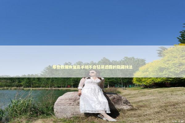 那些数据恢复高手绝不会轻易透露的隐藏技法 IT技术